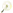 Dandelion Icon