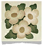 ItemIcon Reagent SilkFlower Medium.png