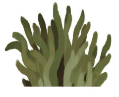 LootContainer-Plant1.png