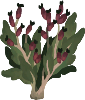 LootContainer-Berries1.png