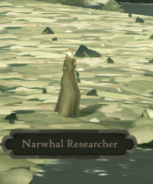 Narwhal Researcher.png