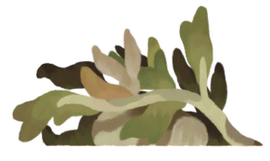 LootContainer-Plant3.png